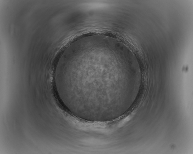 X0000095550032200712141605