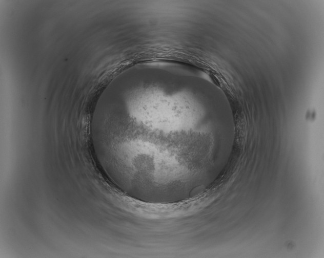 X0000095550034200712141605