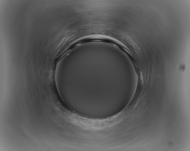 X0000095550035200712141605