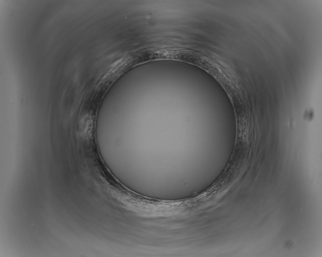 X0000095550036200712141605