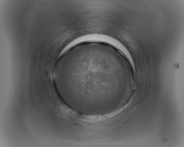 X0000095550037200712141605