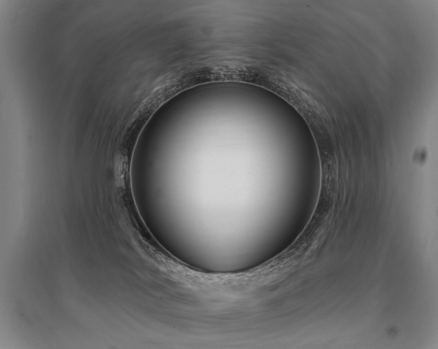 X0000095550038200712141605