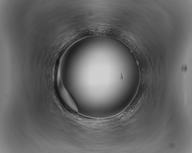 X0000095550040200712141605