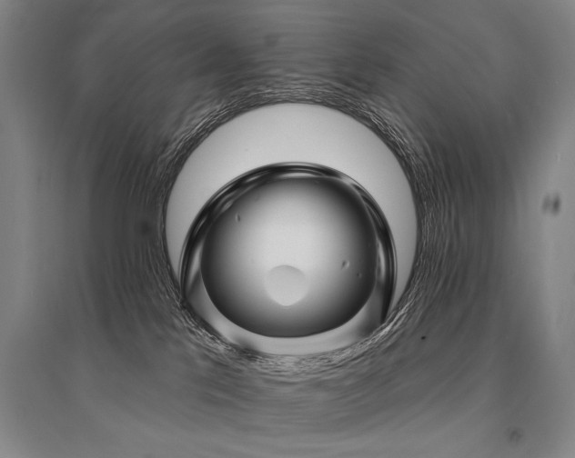 X0000095550041200712141605