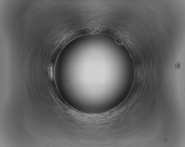 X0000095550042200712141605