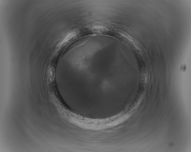 X0000095550043200712141605