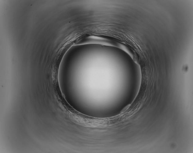 X0000095550044200712141605