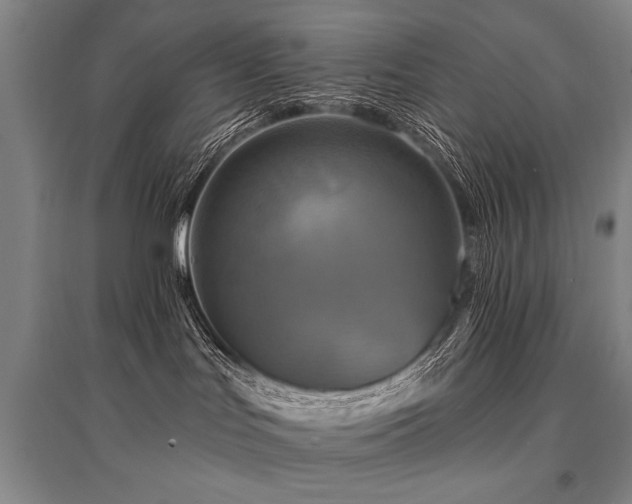 X0000095550047200712141604