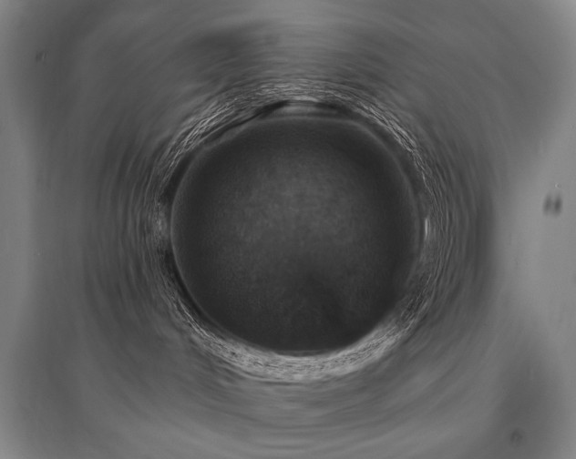 X0000095550048200712141604