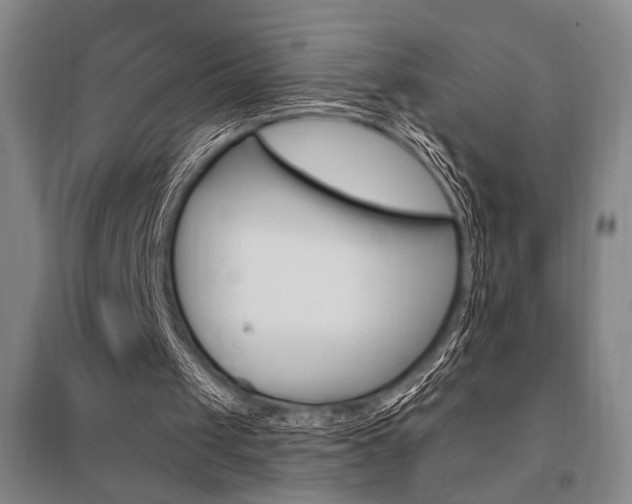 X0000095550049200712141604