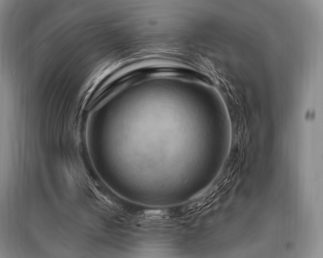 X0000095550050200712141604