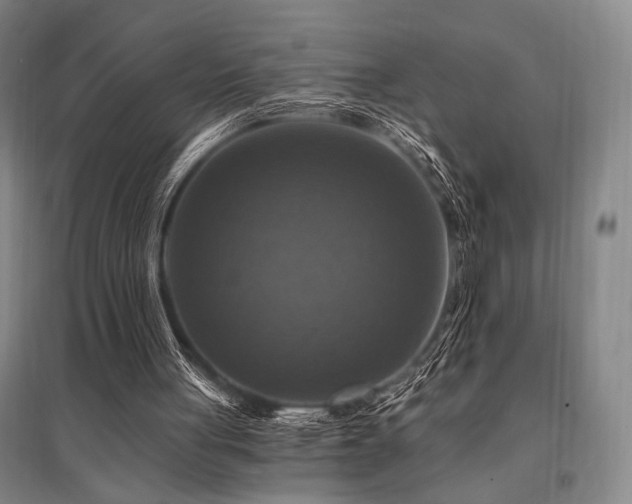 X0000095550051200712141604