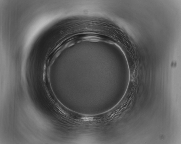 X0000095550052200712141604