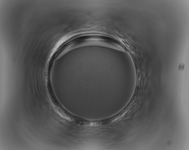 X0000095550056200712141604