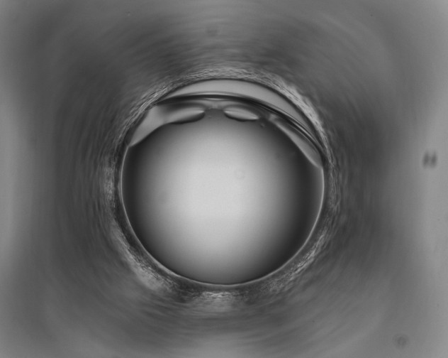 X0000095550057200712141604