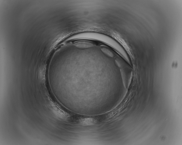 X0000095550058200712141604