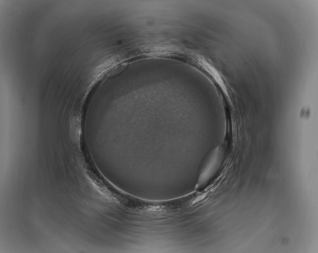 X0000095550059200712141604