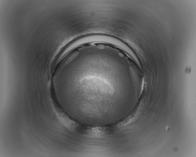 X0000095550064200712141604