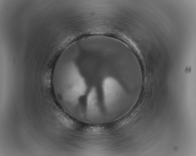 X0000095550065200712141604