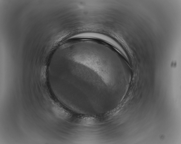 X0000095550066200712141604