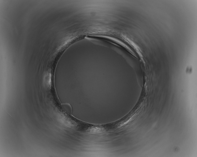 X0000095550067200712141604