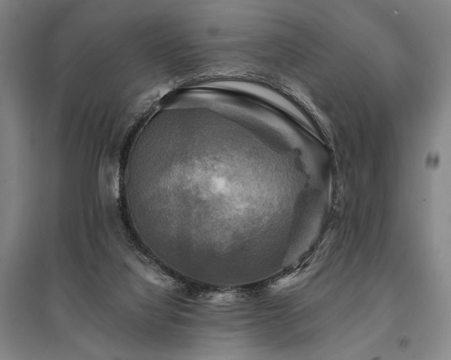 X0000095550068200712141604