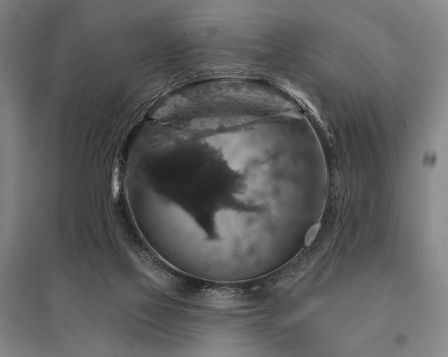 X0000095550069200712141604