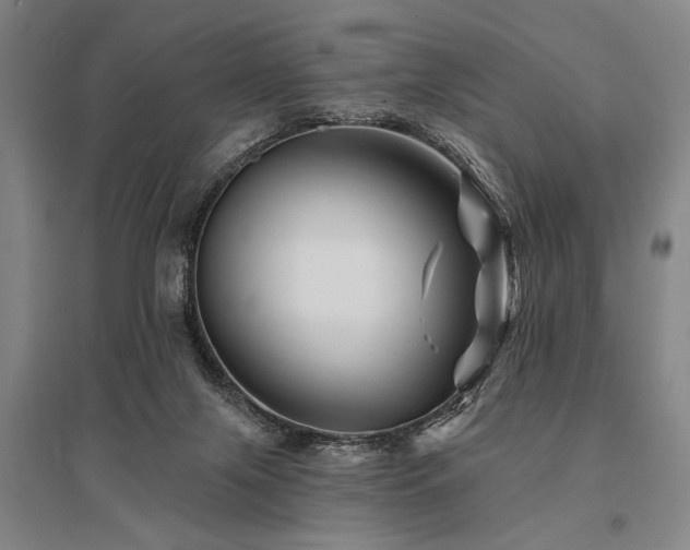 X0000095550071200712141604