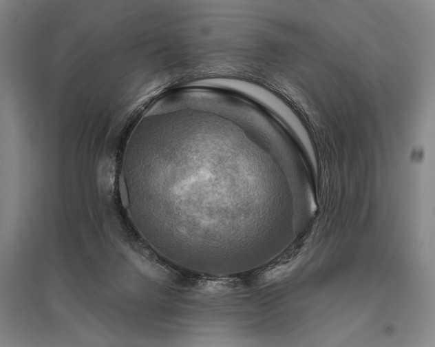 X0000095550072200712141604