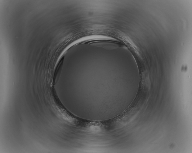 X0000095550073200712141604