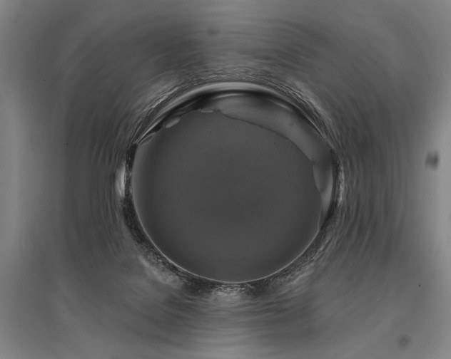 X0000095550076200712141604