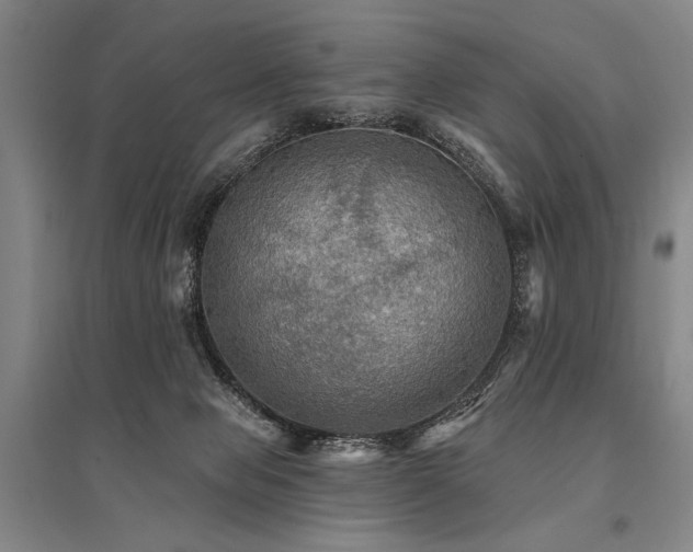 X0000095550077200712141604