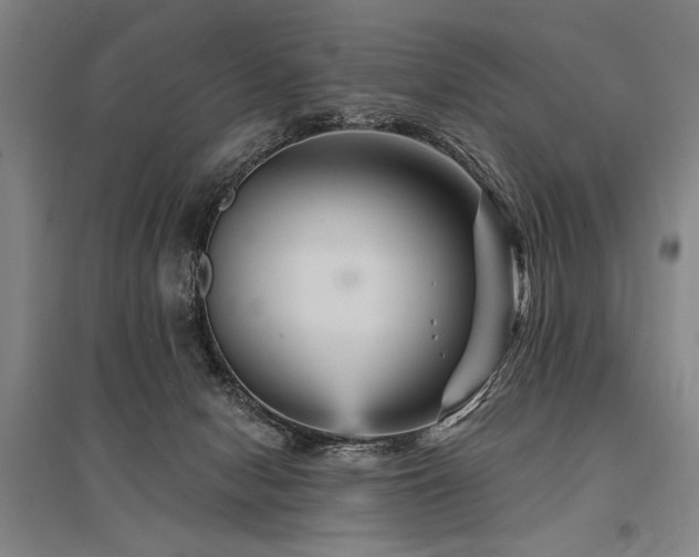 X0000095550078200712141604