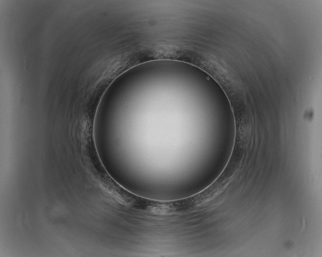 X0000095550079200712141604