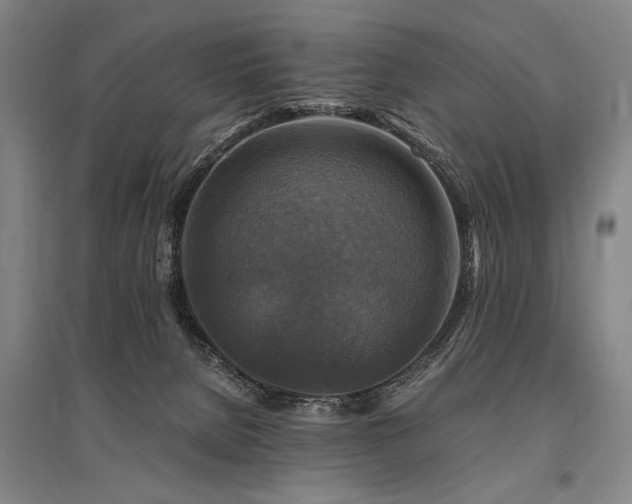 X0000095550080200712141604