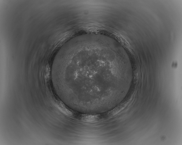 X0000095550081200712141604