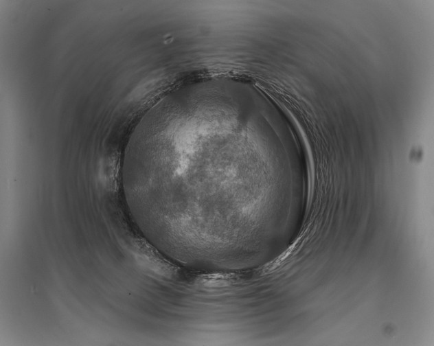 X0000095550082200712141604