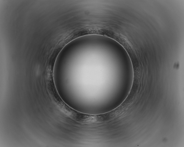 X0000095550083200712141604