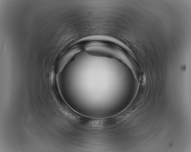 X0000095550084200712141604