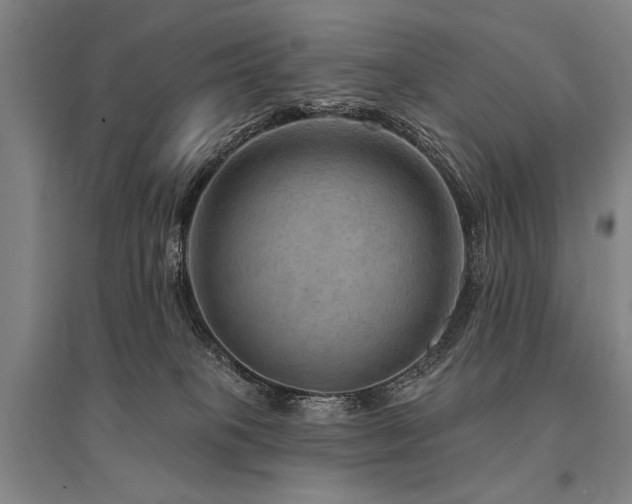 X0000095550085200712141604