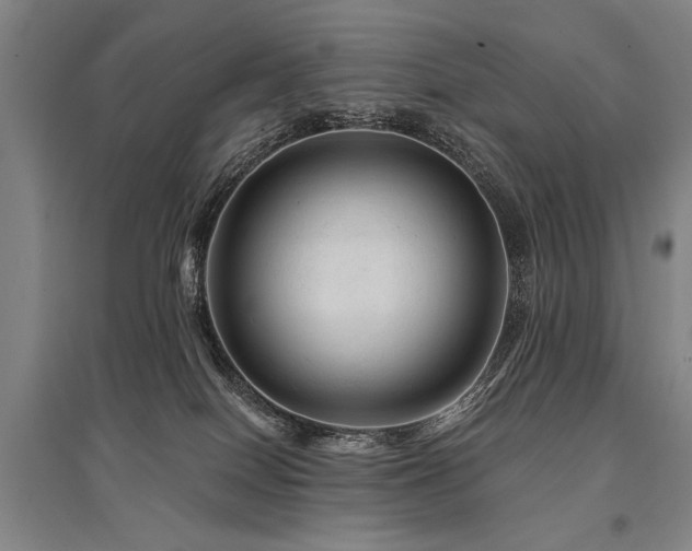 X0000095550086200712141604