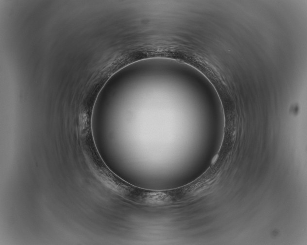 X0000095550087200712141604