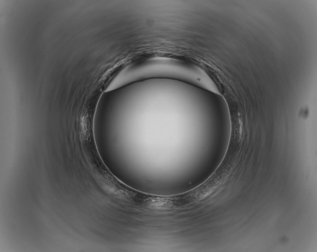 X0000095550088200712141604