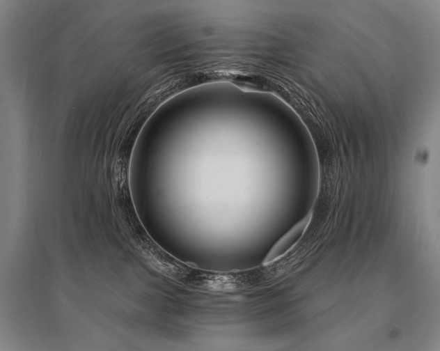 X0000095550091200712141604