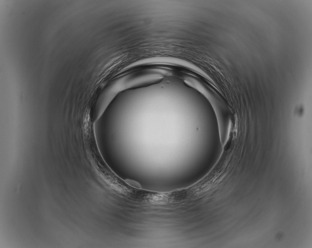 X0000095550092200712141604