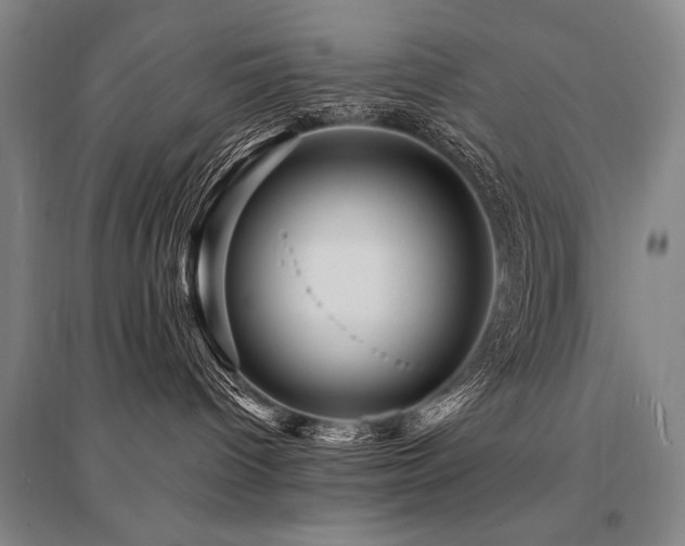 X0000095550096200712141604