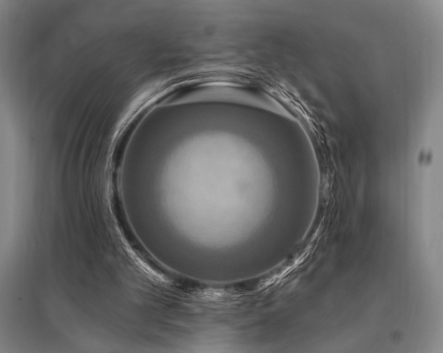 X0000095550101200712141604