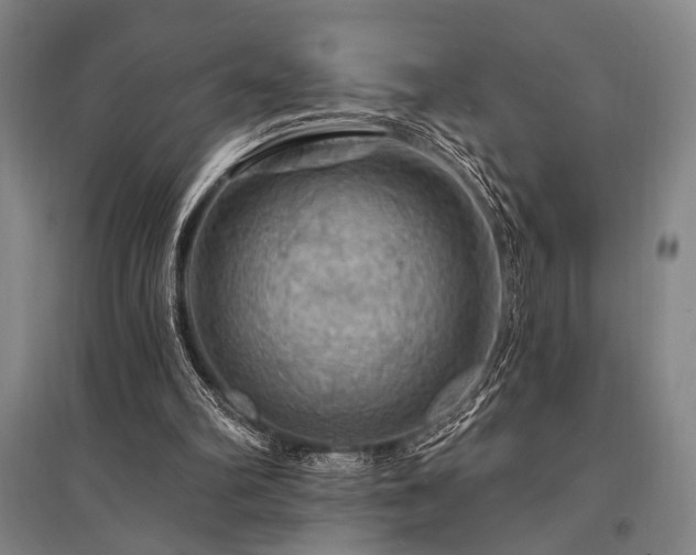 X0000095550102200712141604