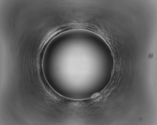 X0000095550103200712141604