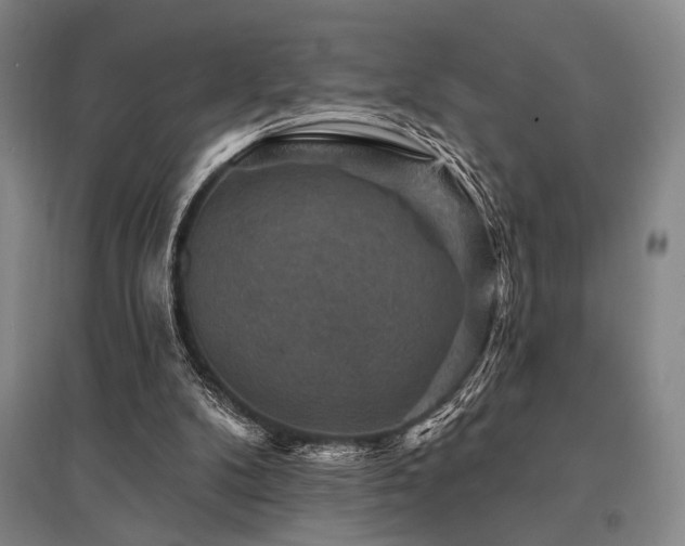 X0000095550104200712141604